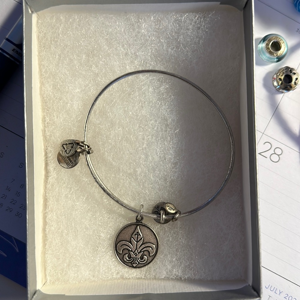 Alex and Ani Charm Bracelet